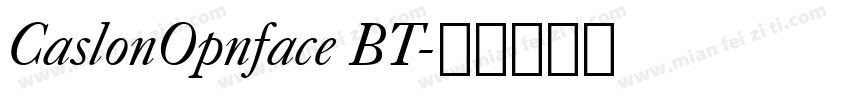 CaslonOpnface BT字体转换